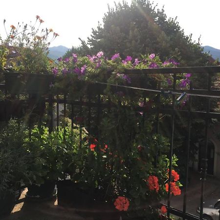 Guest House Pansion 10 سيتينيي المظهر الخارجي الصورة